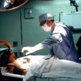 merged (4) (11).gif