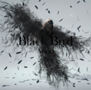52a323f5f17f.png