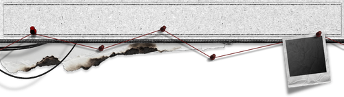 Image 1785993321763 520.png