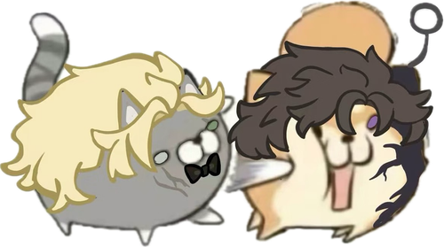 IMG 2408.png