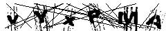 test.jpg