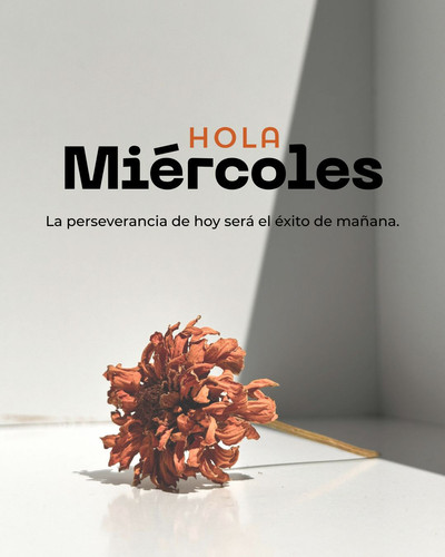 Miercoles 05082026.jpg