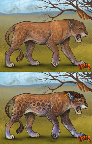 26257.jpg