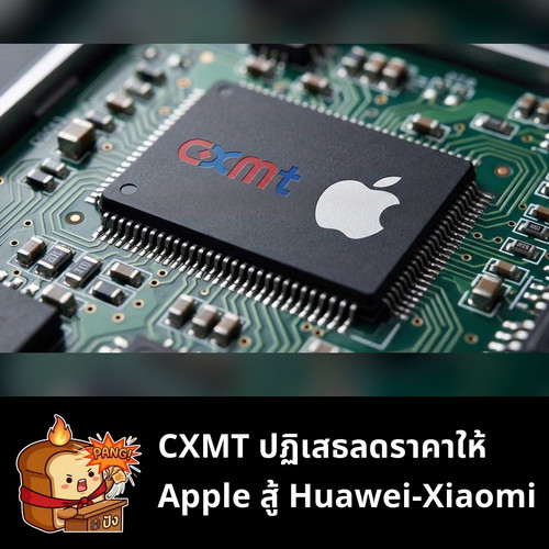 3e0ec89211d6.jpg