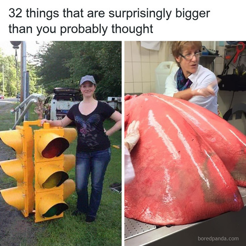 curiosities world.jpg