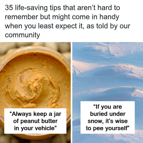 tips.jpg