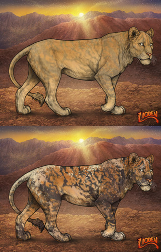 26253.jpg