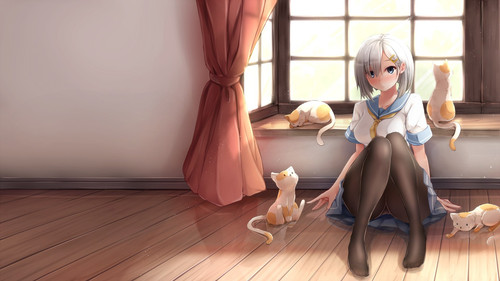 wallpaper.jpg