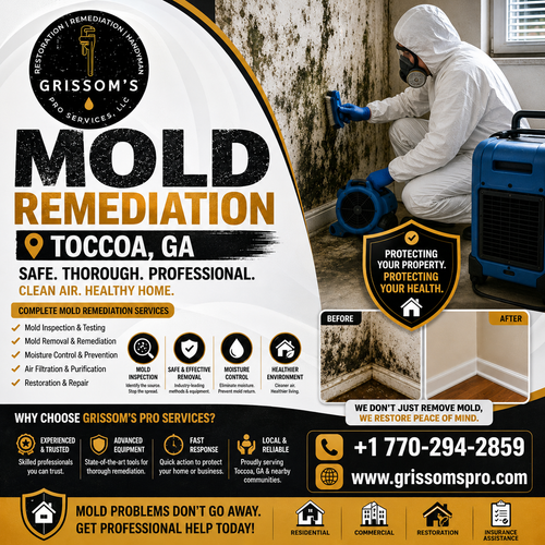 Mold Remediation Toccoa GA.png