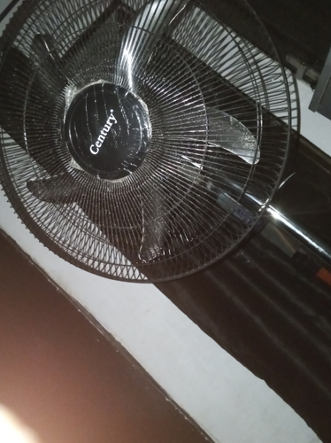 temp.png