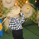 IMG 7538