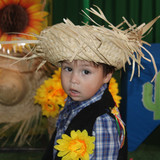 IMG 7520