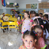 IMG 7081