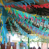 IMG 7065