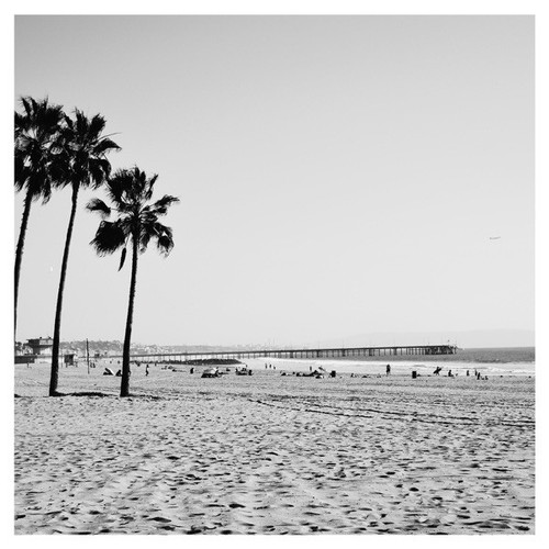 600x600bb.jpg