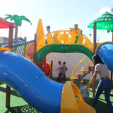 IMG 7039