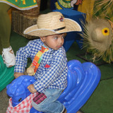 IMG 7597