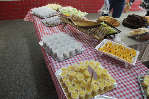 IMG 7582