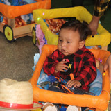 IMG 7458