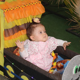 IMG 7454