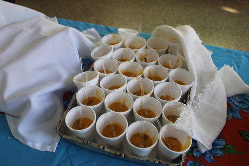 IMG 7569.jpg