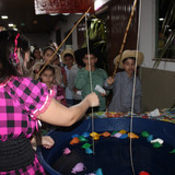 IMG 6746