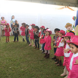 IMG 6987