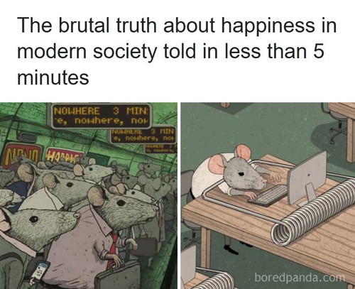 animated short film happiness steve cutts.jpg