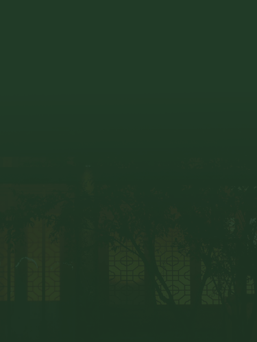 bjsr.png