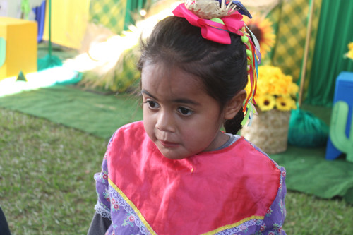 IMG 6893.jpg