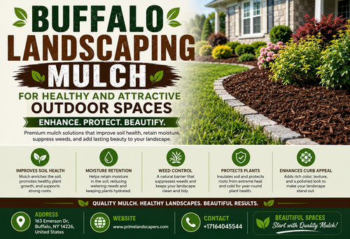 Buffalo Landscaping Mulch for Healthy and Attractive Outdoor Spaces.png