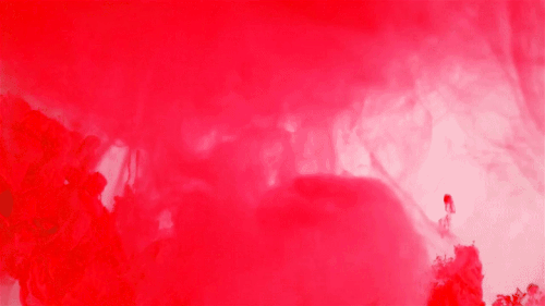 gifs1 (2).gif