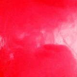 gifs1 (2)