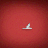 gifs1 (51)