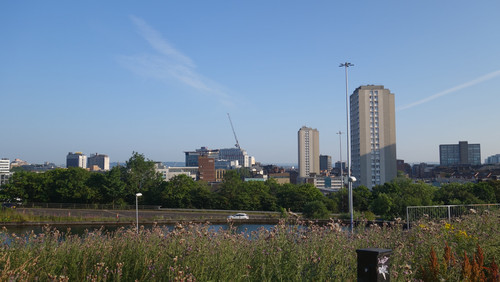 DSC05174.jpg