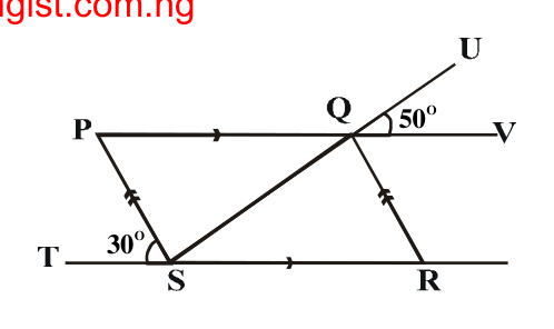 fig.png