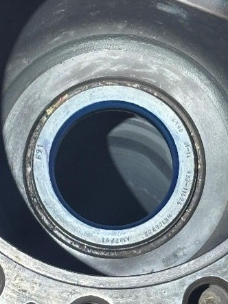 pic1.jpg