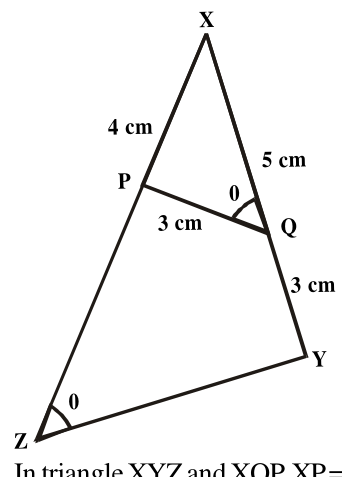 fig.png