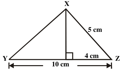 fig.png