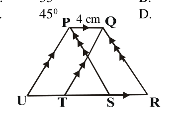 fig.png