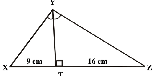 fig.png