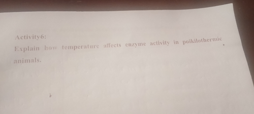 temp.png