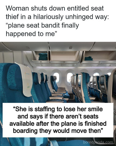 entitled mom steals plane seat.jpg