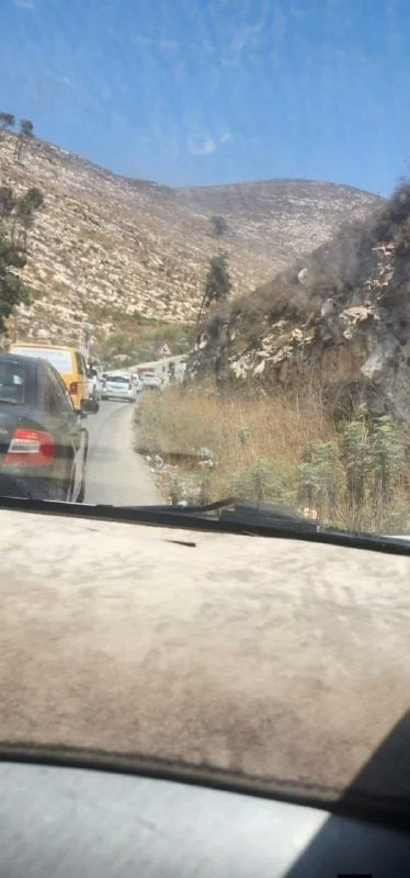 صورة الخبر