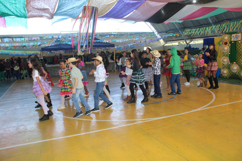 IMG 7971.jpg