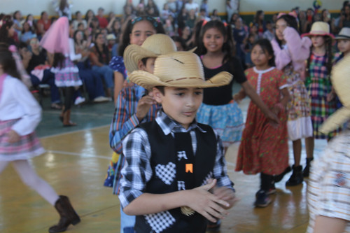 IMG 8486.jpg