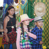 IMG 8482