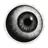 e1d6e519ad3682dd93913fa68db711ff removebg preview.png