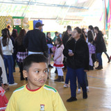 IMG 8026