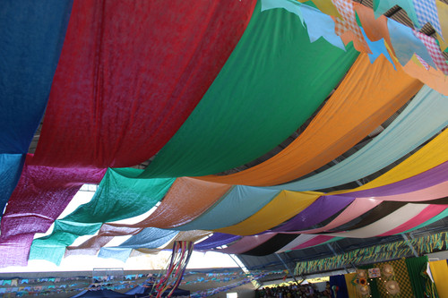 IMG 7675.jpg